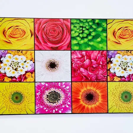 Comfortable - Place Daire