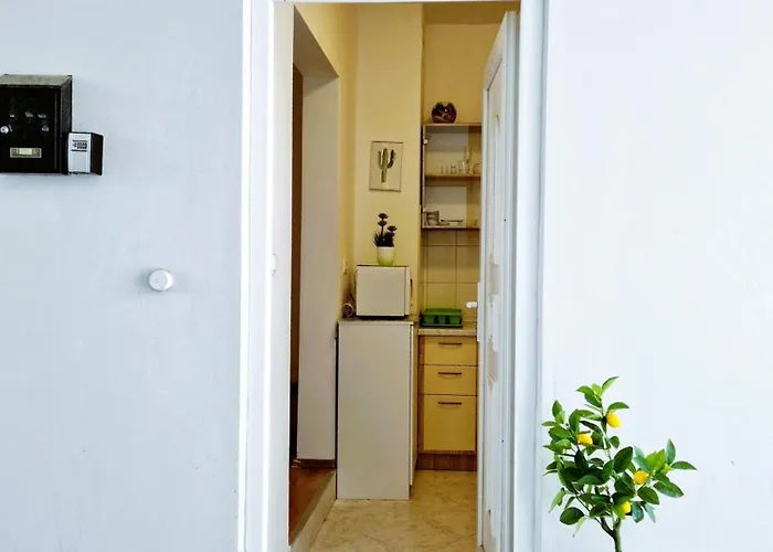 Apartment Comfortable - Place Split